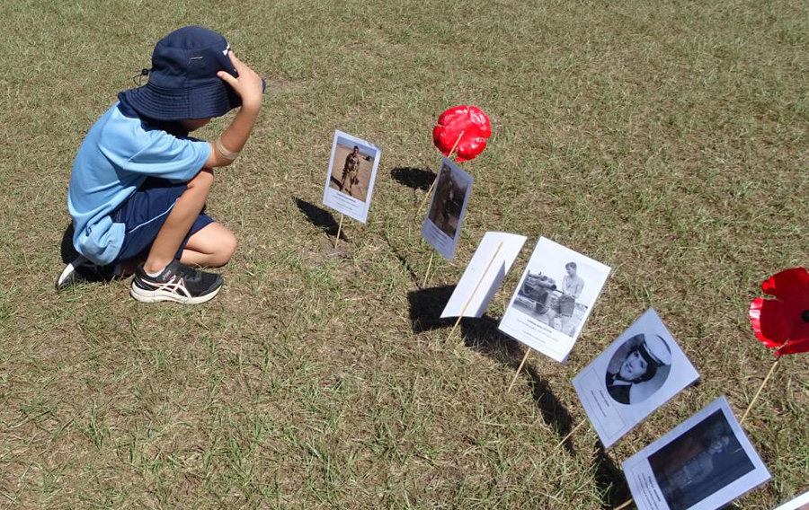 Image of boy kneelling whilst looking at photos and red poppies