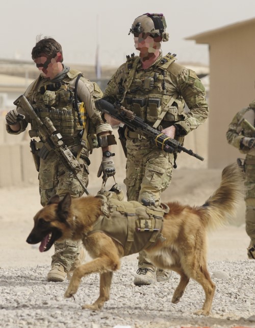 Australian Army special operations soldiers and military working dog Kuga prepare for patrol in Afghanistan. Kuga was the first Australian dog to be awarded the Dickin Medal, colloquially referred to as the ‘Victoria Cross for Animals’. (Photo: Defence)