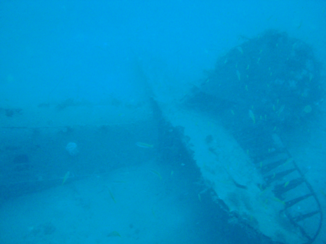 The rear fuselage and tail of the wreck of A9-186. (Image: RAAF) 