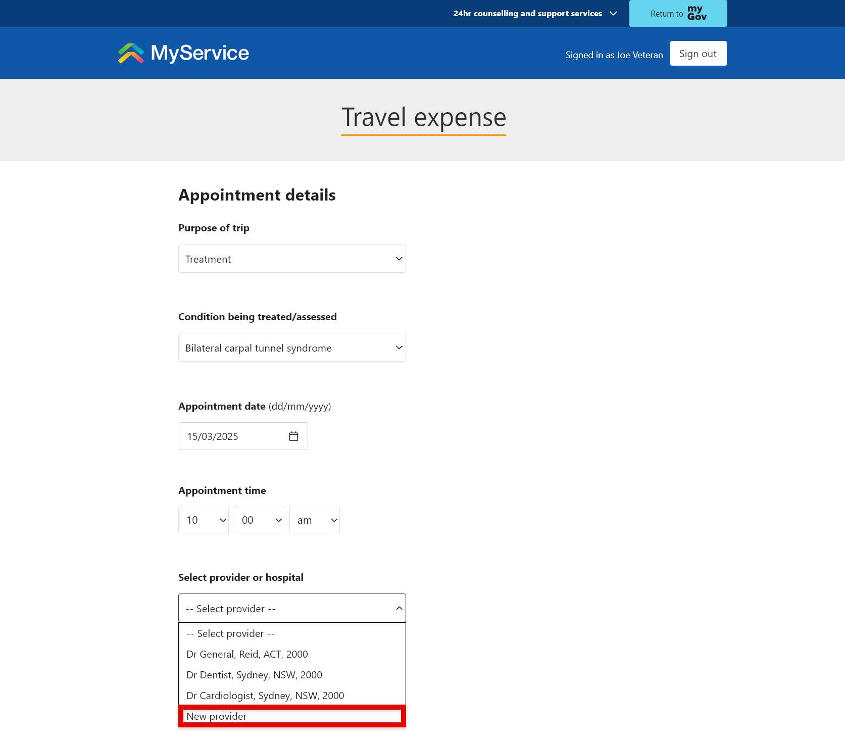 Travel expense page screenshot showing how to select 'New provider' option.