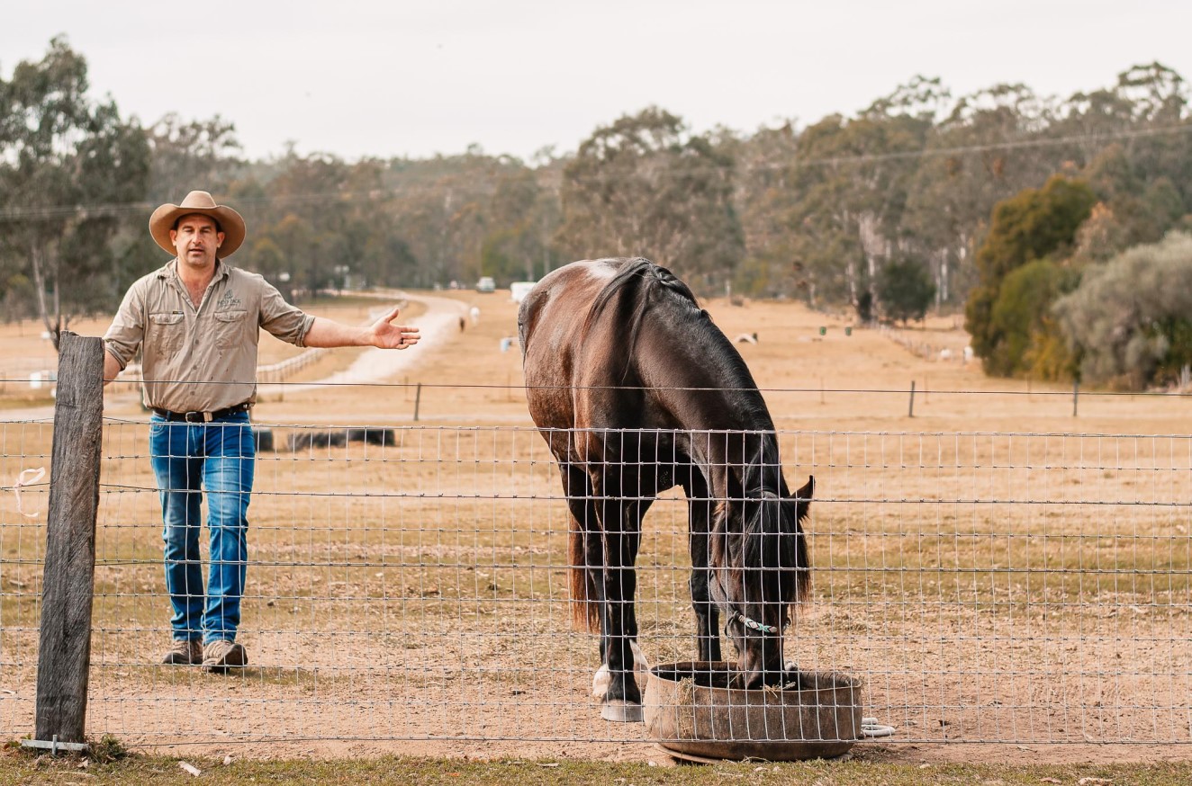 Soldier On equine therapy program 
