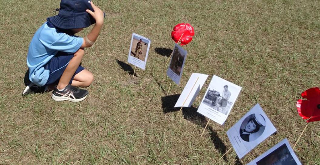 A young child kneels on grass reading about Anzac Day Veterans in a visual display of poppies black and white photos and profiles