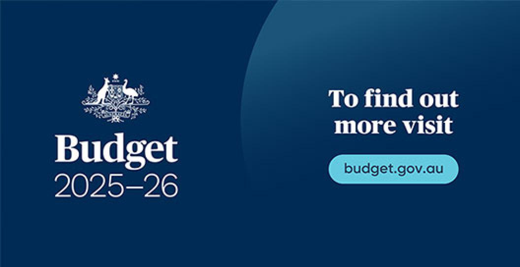 Budget 2025-26 logo