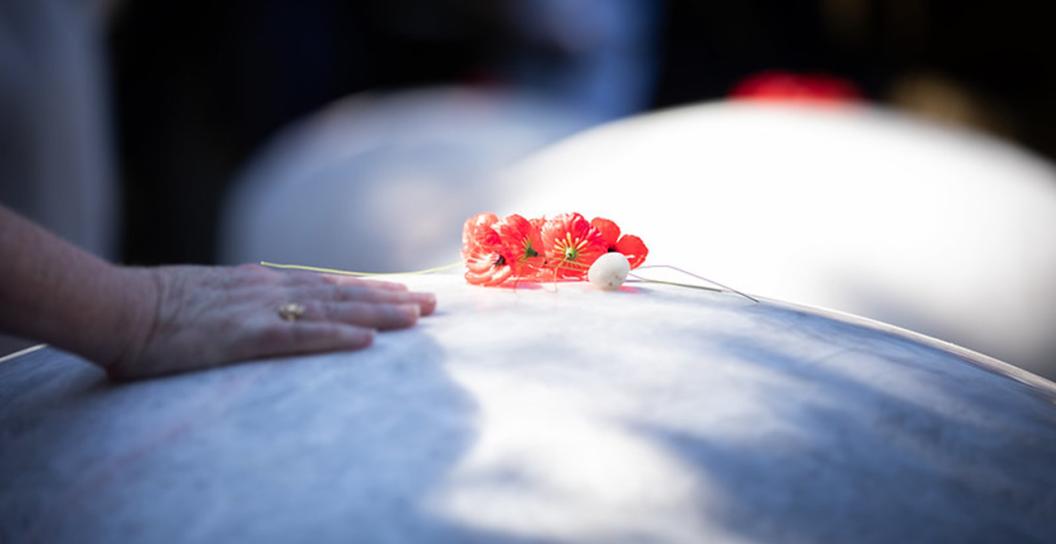 A hand and a poppy rest on a stone