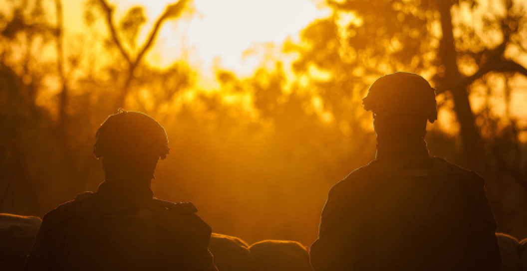 Two soldiers in silhouette