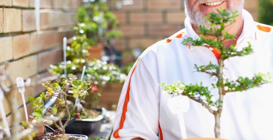 A man holding a bonsai tree 