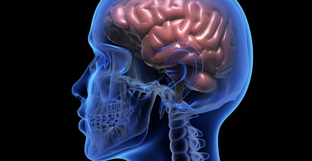 Man with brain