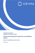 Cover sheet - Veteran self-employment experiences and wellbeing impacts