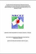 Cover of Examination of the Potential Exposure of RAN Personnel to Polychlorinated Dibenzodioxins and Polychlorinated Dibenzofurans via Drinking Water